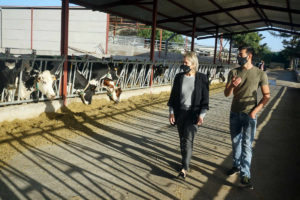 Die kanarische Regierung gewährt Landwirten Hilfen mehr als 300.000 Euro
